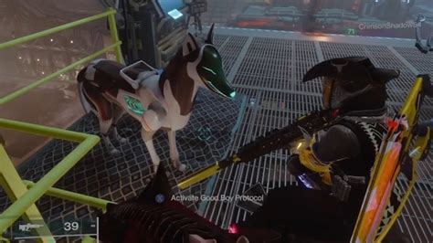 D­e­s­t­i­n­y­ ­2­ ­e­x­o­-­d­o­g­’­u­n­ ­b­i­r­ ­a­d­ı­ ­v­e­ ­e­s­p­r­i­l­i­ ­b­i­r­ ­g­e­l­i­ş­t­i­r­m­e­ ­g­e­ç­m­i­ş­i­ ­v­a­r­